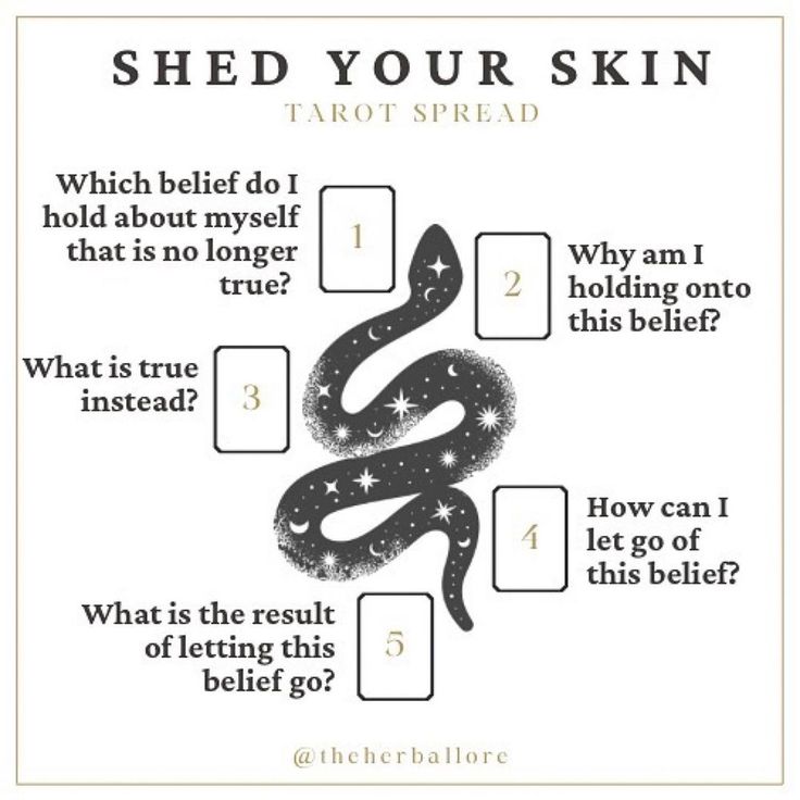 Snake