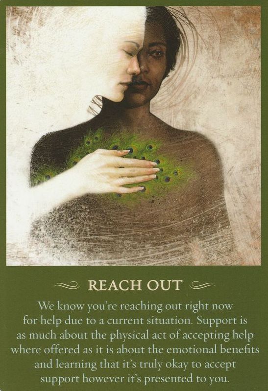 ReachOut