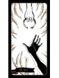 Tarot of the Sorceress : A witch's wheel of the year by Berengere Demoncy