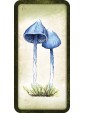 Mushroom Affirmations Mini Cards by Nicola McIntosh