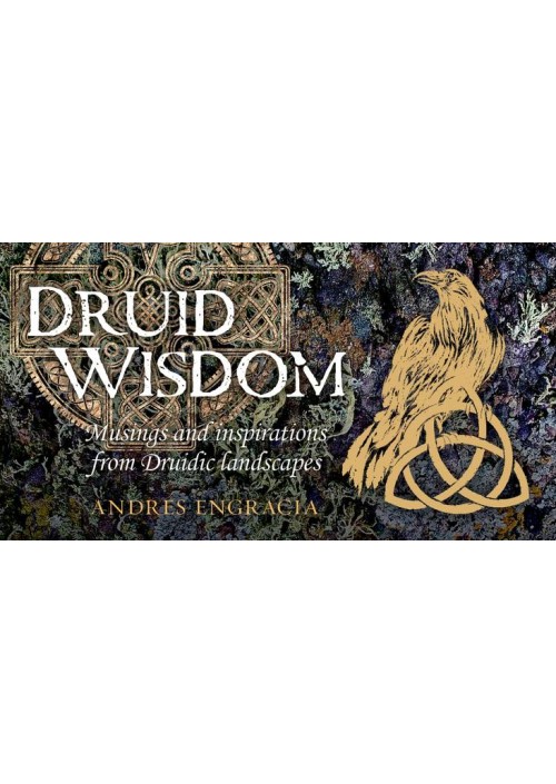 Druid Wisdom : Mini Inspiration Cards by Andres Engracia