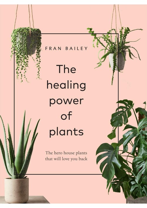 The Healing Power of Plants by Fran Bailey