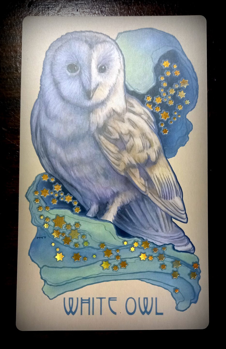 White Owl